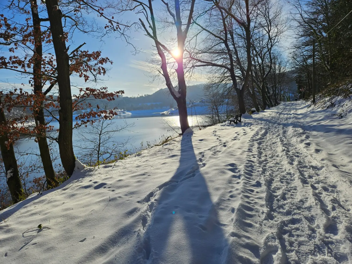 Rurseeparadies Kienert - Kienert Christof - Ferienhaus - Außenansicht
